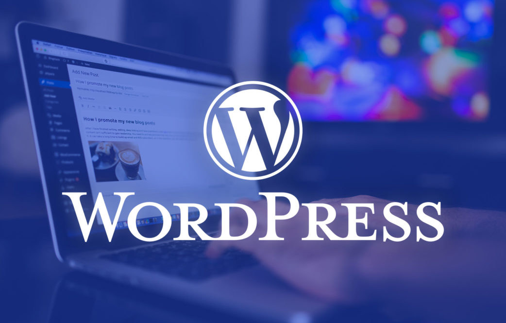 Looking for a WordPress Developer 1042x665 2